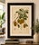 Sheep van Nooten, Star Fruit Botanical, 1880, Chromolithograph For Sale - Image 9 of 10