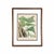 Illustration 19th-Century European Fern Gallery | Set of 16 Framed Botanical Prints For Sale - Image 3 of 12