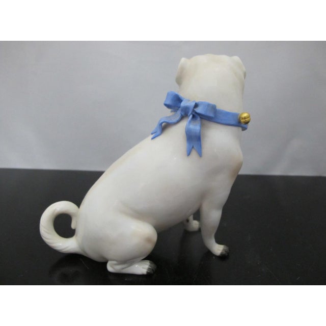 Meissen vintage porcelain pug figurine. Seated pug facing left, wearing a blue collar with gold bells. Vintage, mid 20th...