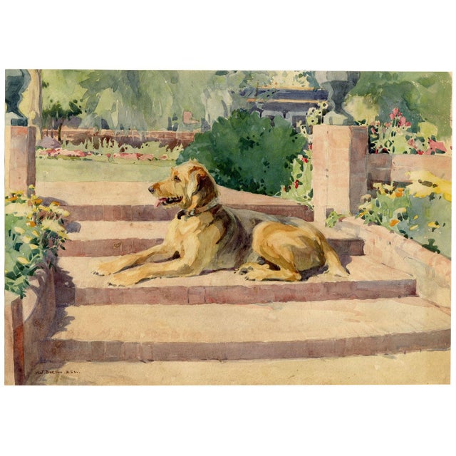 Nancy Jane Burton RWS, Terrier Dog on Garden Steps, 1920s, Watercolor For Sale - Image 3 of 7