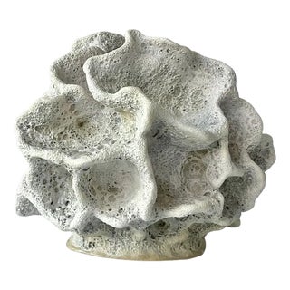 Ceramic Coral Sculpture by N'atelier For Sale