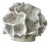 Ceramic Coral Sculpture by N'atelier For Sale