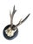 Roe Deer Trophy 78 Black Forest Antlers Mount For Sale - Image 4 of 5