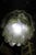 Murano Glass Torcello Chandelier by Gino Vistosi, 1960 For Sale - Image 14 of 18