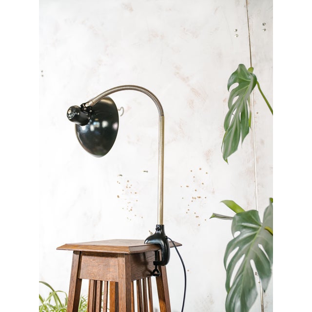 Antique Bauhaus Gooseneck 6740 Clamp Lamp with Super Lampshade by Christian Dell from Kaiser Idell, 1940s For Sale - Image 9 of 14