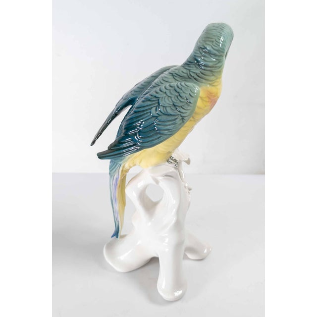 19th Century German Porcelain Macaw or Parrot Type Figure by Karl Ens For Sale - Image 4 of 11