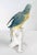 19th Century German Porcelain Macaw or Parrot Type Figure by Karl Ens For Sale - Image 4 of 11