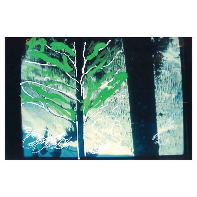 Mario Schifano, The Tree, Mixed Media on Photograph, 1990s For Sale