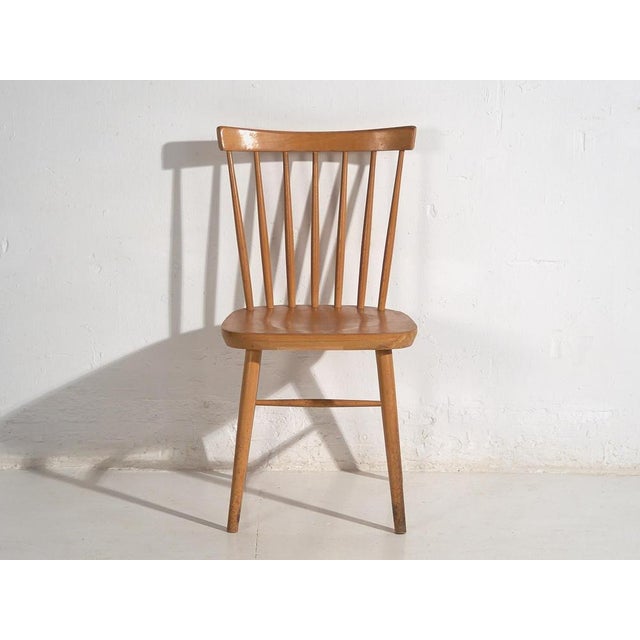 Set of Vintage Chairs from Thonet, 1950s For Sale - Image 13 of 15