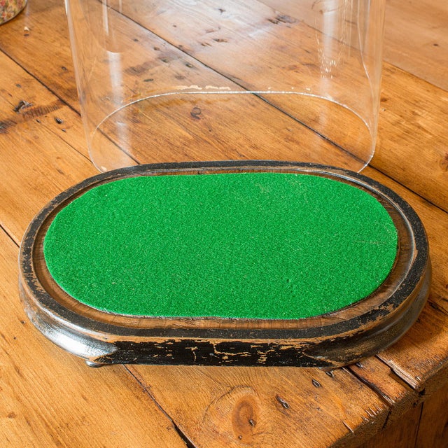 1900's Large Antique Botany Display Dome For Sale - Image 6 of 10