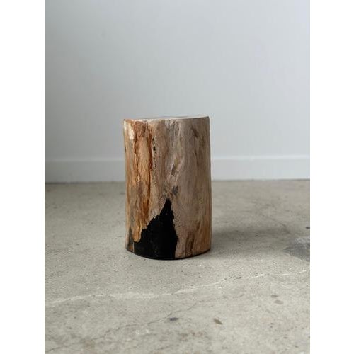 Side Table in White Petrified Wood with 2 Black Spots For Sale - Image 17 of 18