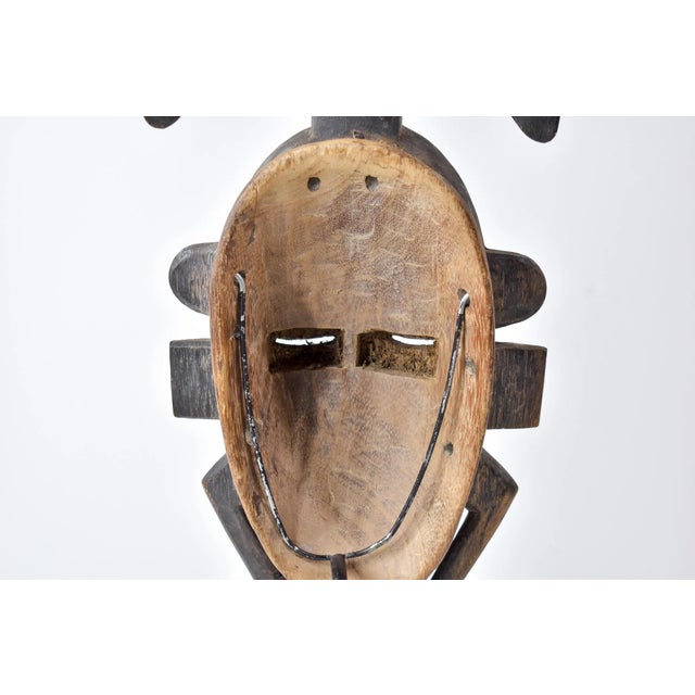 Early 20th Century Djimini Ligbi Do Society Mask on Custom Stand Côte d'Ivoire For Sale - Image 10 of 13