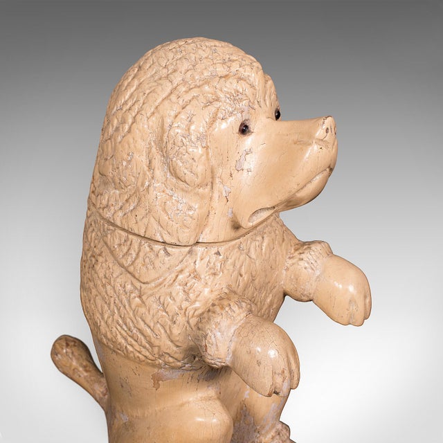 Beige Antique Poodle Tobacco Jar, English, Fruitwood, Dog, Treen, Figural, Edwardian For Sale - Image 8 of 12