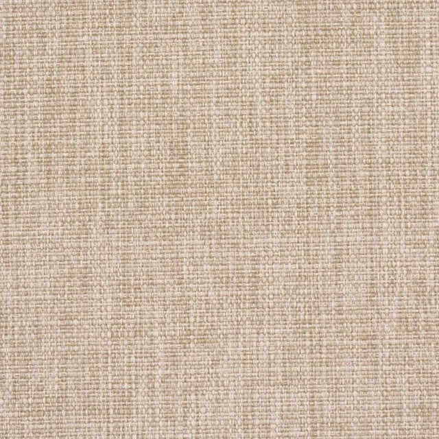 Contemporary SAMPLE - Schumacher Archie Indoor/Outdoor Fabric In Tan For Sale - Image 3 of 3