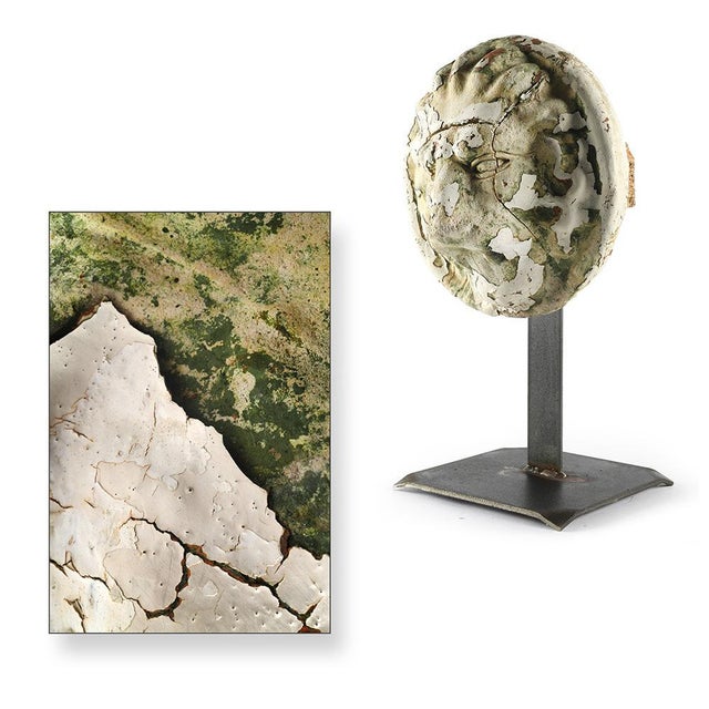 Belgian mascaron in terracotta lion-shaped head disposed on a foot of iron. Terracotta sculpture up used on old buildings...