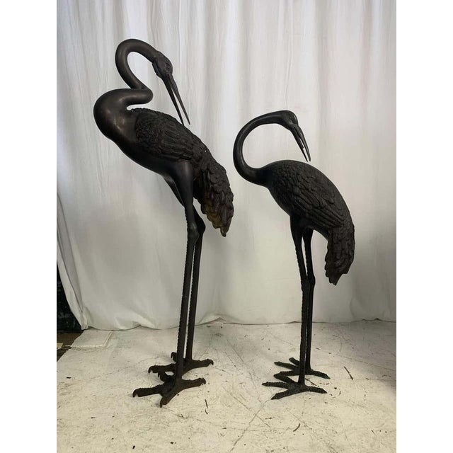 A pair of large bronze oriental cranes. A symbol of longevity and wisdom in oriental mythology, the crane is also...