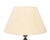 Rococo Silver Plated Table Lamps, 1920s, Set of 2 For Sale - Image 13 of 14