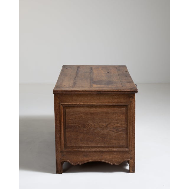 Wood French Carved Oak Trunk France 19th Century For Sale - Image 7 of 12