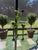 Vintage Italian Carnevale Brass Botanical Bulb Bud Vases - Set of 3 For Sale - Image 15 of 17