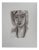 Henri Matisse, Paula, Lithograph For Sale