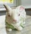 Hand-painted ceramic bunny rabbit planter / dish in a classic majolica style. With glossy hand‑painted greens and...
