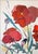 Illustration 2025, Illustration Style, Original Painting, Large Triptych Landscape, French Prairie, Poppies and Wildflowers, Acrylic Paint on Watercolor Paper For Sale - Image 3 of 11