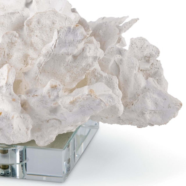 Traditional Regina Andrew Flower Coral On Crystal Base in White For Sale - Image 3 of 5