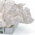 Traditional Regina Andrew Flower Coral On Crystal Base in White For Sale - Image 3 of 5