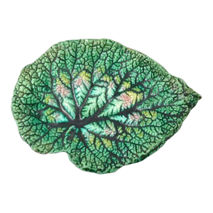 Antique Etruscan Majolica Leaf Plate