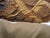 Mid 20th Century Large Vintage Woven Roses Tapestry Cushion With Camel Velvet Backing For Sale - Image 5 of 5