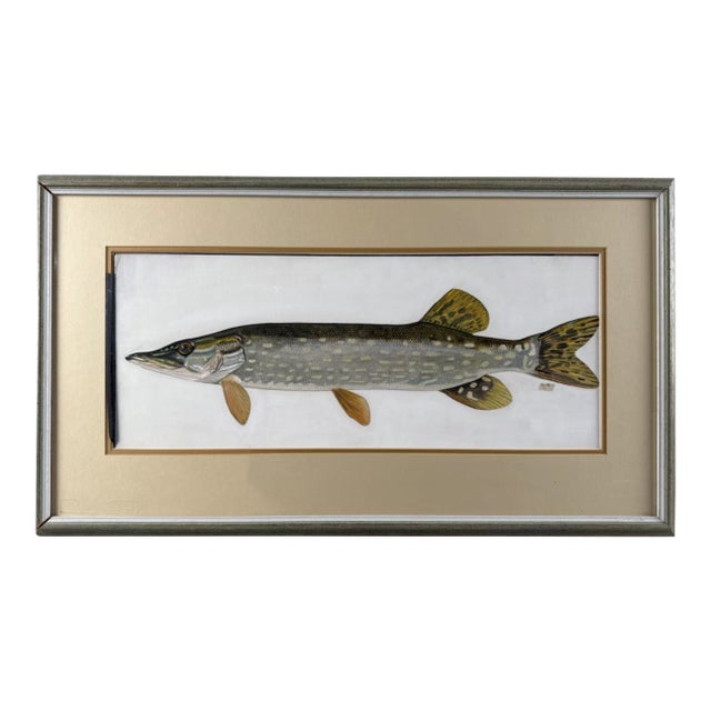 Late 20th Century Douglas Tibbitts (New Hampshire, Contemporary), Northern Pike., Acrylic on Paper For Sale