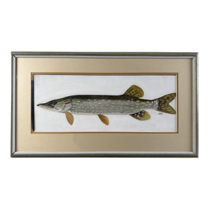 Late 20th Century Douglas Tibbitts (New Hampshire, Contemporary), Northern Pike., Acrylic on Paper