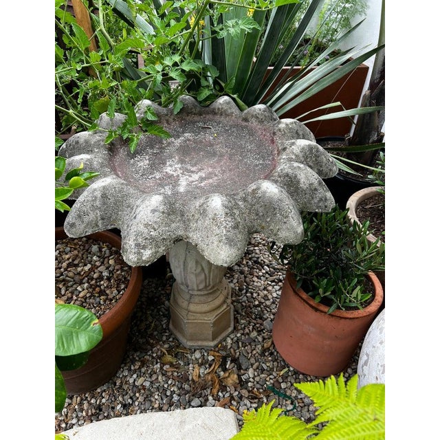 Early 20th Century Vintage Concrete Flower Petal Birdbath on Fluted Pedestal For Sale - Image 5 of 7