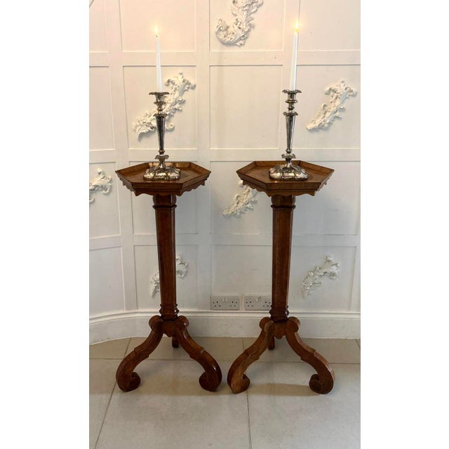 Early 19th Century Antique Dutch Walnut and Kingwood Pedestal Torcheres, 1800, Set of 2 For Sale - Image 5 of 17