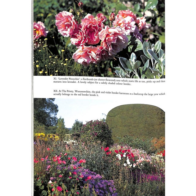 Paper "Gardens for Small Country Houses" 1988 Saville, Diana For Sale - Image 7 of 9