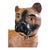 Wonderful Rare, Large English 19th Century Staffordshire Ceramic Pug Dog Figurine. The piece is in excellent condition for...
