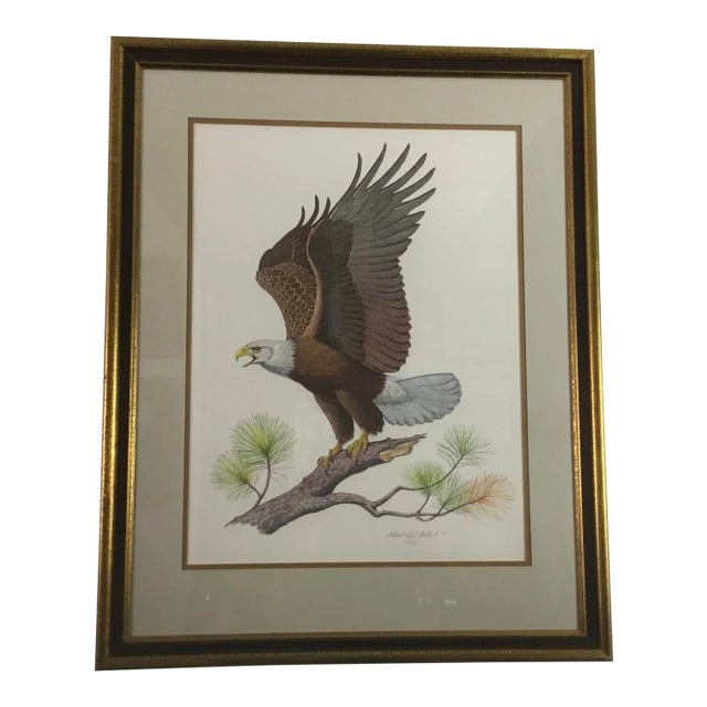 American Bald Eagle by Albert Earl Gilbert For Sale