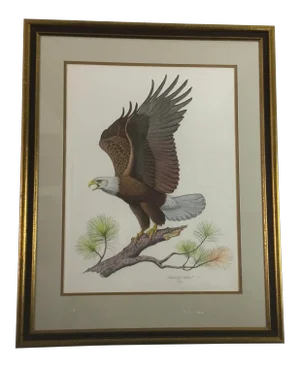American Bald Eagle by Albert Earl Gilbert
