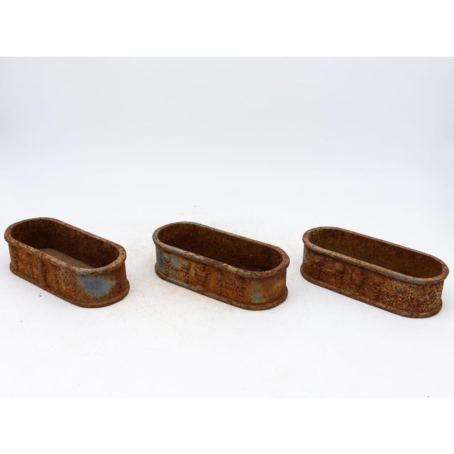Neoclassical Small Cast Iron Oval Planter, France Early 20th C. For Sale - Image 3 of 10