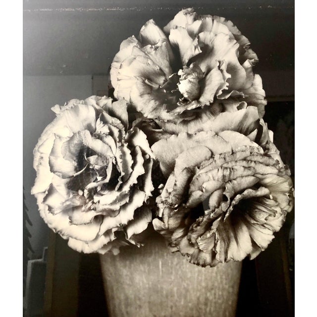Tom Baril, Large Format Vintage Floral Black & White Silver Gelatin Photograph Tom Baril, 1997 For Sale - Image 11 of 12