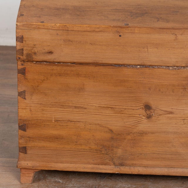 Brown 19th Century Swedish Pine Dome Top Trunk For Sale - Image 8 of 11