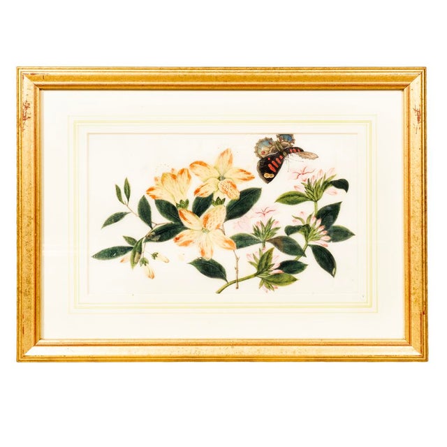 Gold Set of Six Chinese Export Framed Pith Paper Watercolor Botanicals For Sale - Image 8 of 8