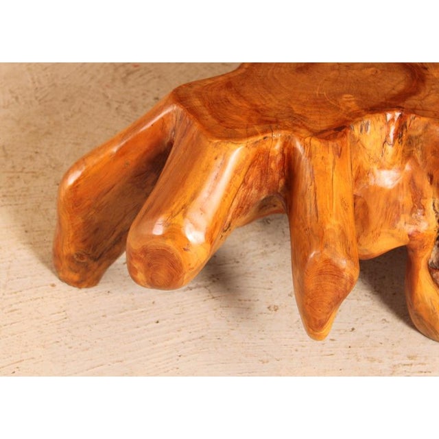 Vintage Brutalist Style Teak Root Coffee Table, 1970s For Sale - Image 4 of 9