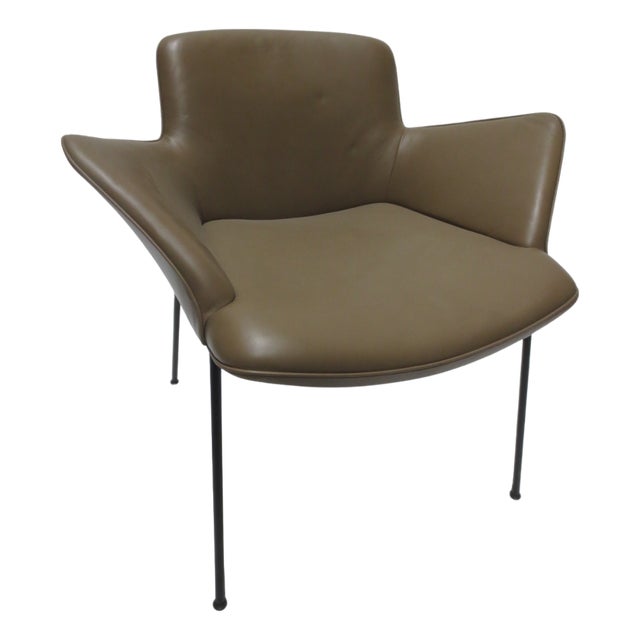 Walter Knoll Burgaz Armchair (New) For Sale