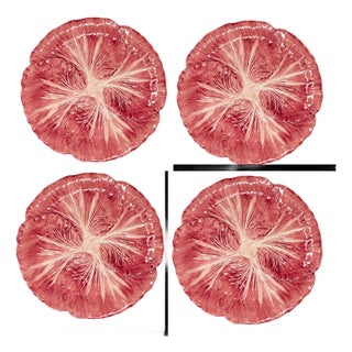 Radicchio Dinner Plates , Set of 4 For Sale