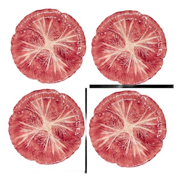 Radicchio Dinner Plates , Set of 4 For Sale