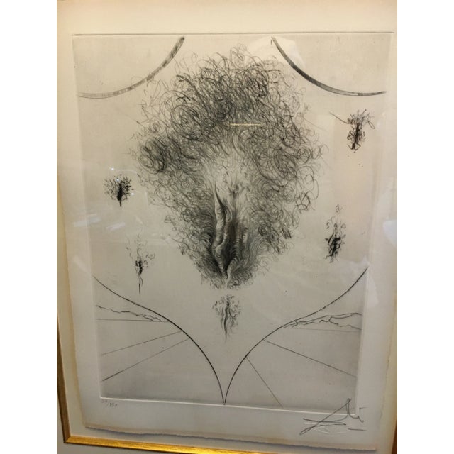 Salvatore Dali “Blazon” Etching For Sale - Image 6 of 8