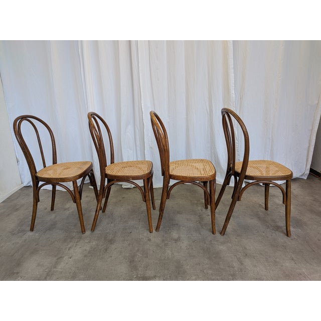 Vintage Dining Chairs with Bentwood Cane Seat, 1970s, Set of 4 For Sale - Image 10 of 18