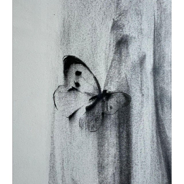 Contemporary Jake Wood-Evans, Butterfly Drawing, 2010, Pencil on Paper For Sale - Image 3 of 5
