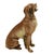 Ceramic Mid-Century Rosenthal Porcelain Seated Irish Setter Figurine – Kunstabteilung Selb – Circa 1940s–1950s For Sale - Image 7 of 10